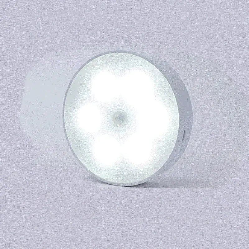 Magnetic Motion-Activated LED Light